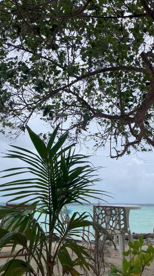 Aqua Sunset Hotel Gulhi Exterior foto